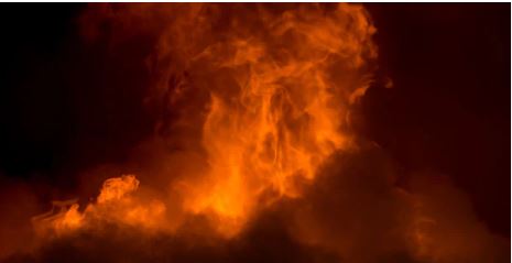 'जम्मू एवं कश्मीर | जंगल की आग से नियंत्रण रेखा पर बारूदी सुरंग विस्फोट; किसी को चोट नहीं पहुंची | '